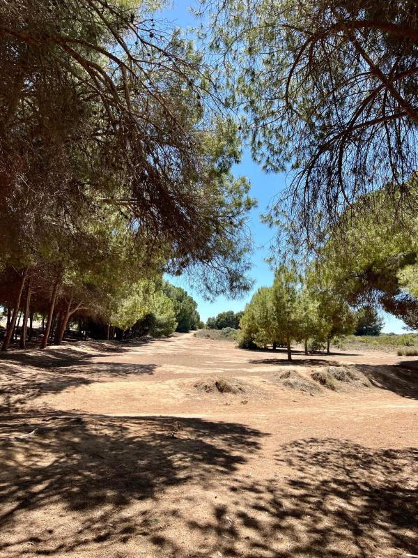 107 Sea Side - Alicante Holiday - image 10