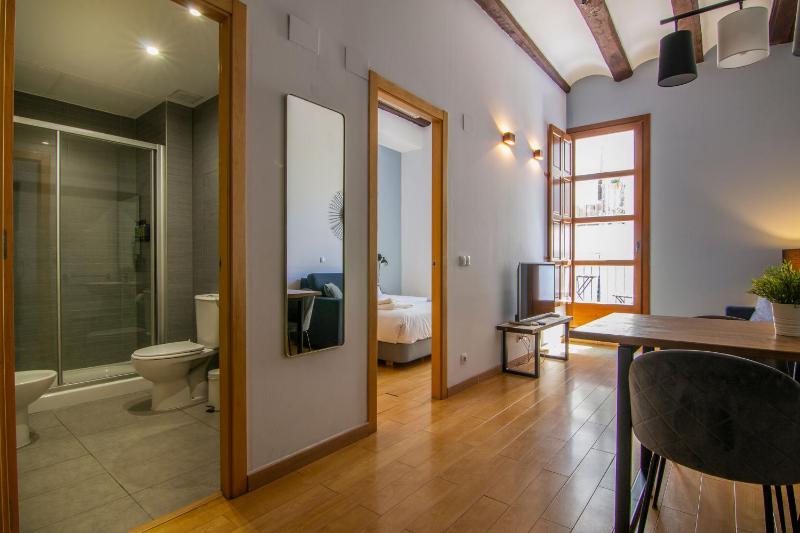 One-Bedroom Apartment image 4