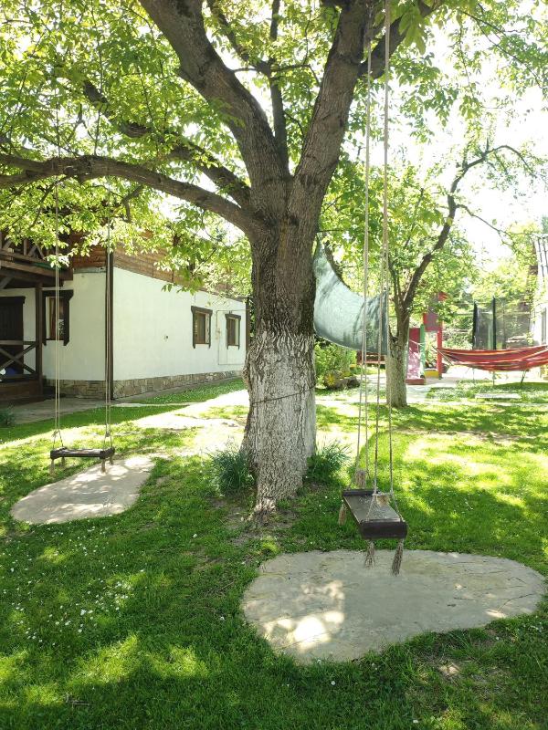 Guest House Plai - image 12