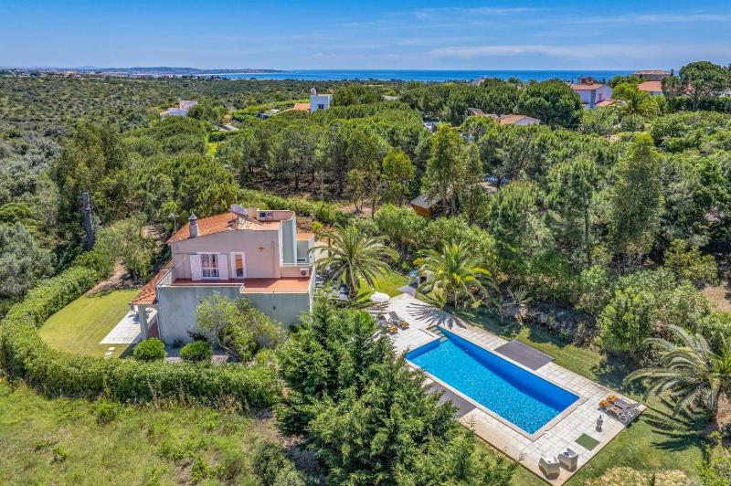 Villa Eucalipto by Villa Plus - image 1