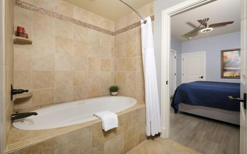 One-Bedroom Apartment image 4