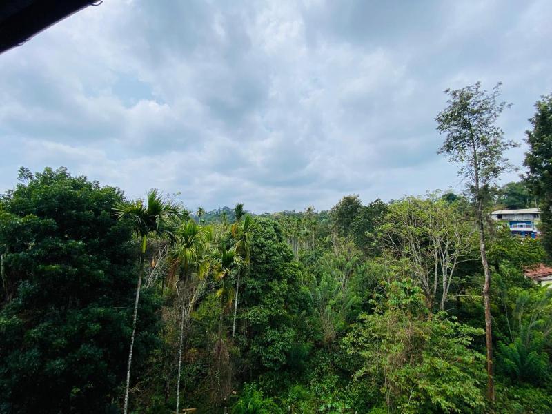 O'live Inn Wayanad Apart-Hotels - image 10