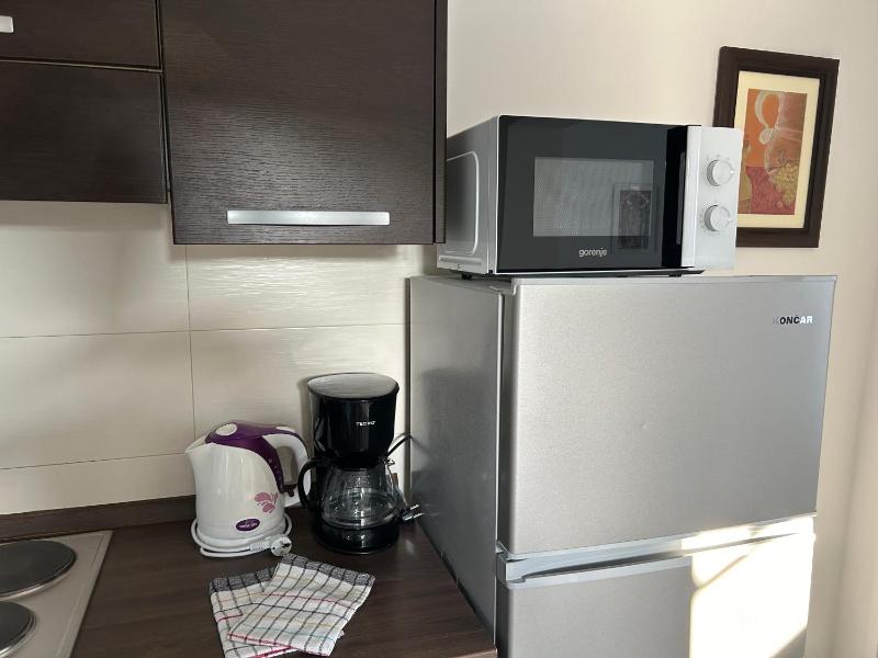 One-Bedroom Apartment image 2