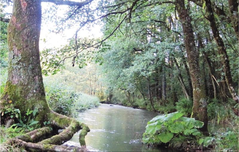 Six-Bedroom Holiday Home image 3