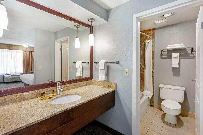 King Room - Pet Friendly image 3