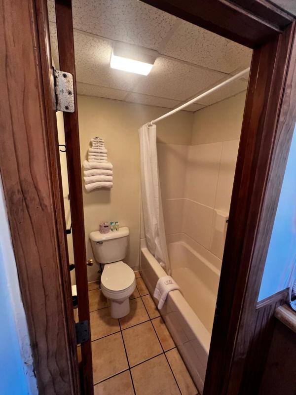Deluxe Suite image 1