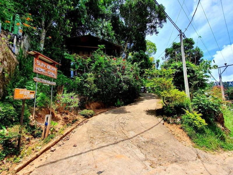 Sunbeam Homestay - image 16