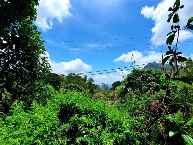 Sunbeam Homestay - image 11