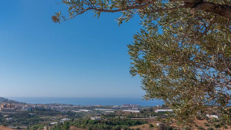 Villa Carmen Torrox by Ruralidays - image 26