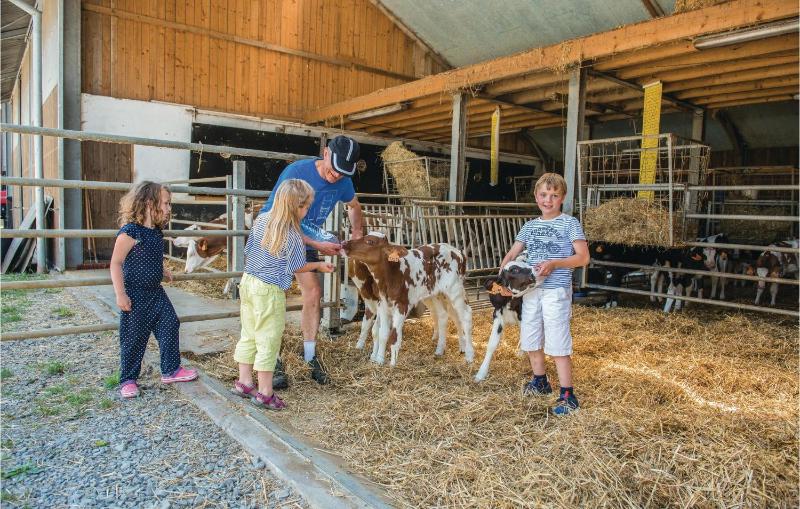 Three-Bedroom Holiday Home  image 3