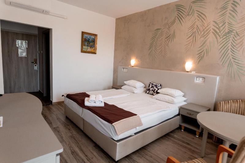 Luxury Double Room image 3