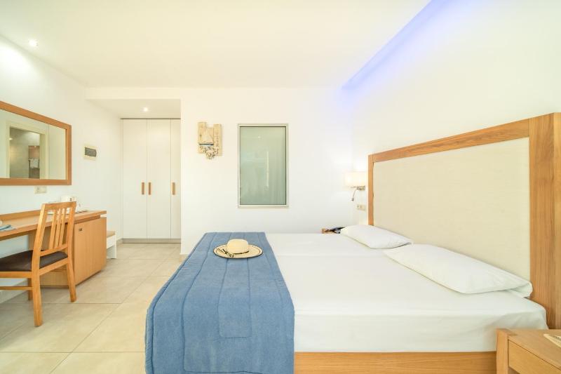 Superior Twin/Double Room image 2