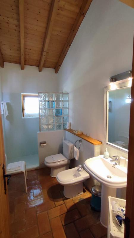 Junior Suite image 3