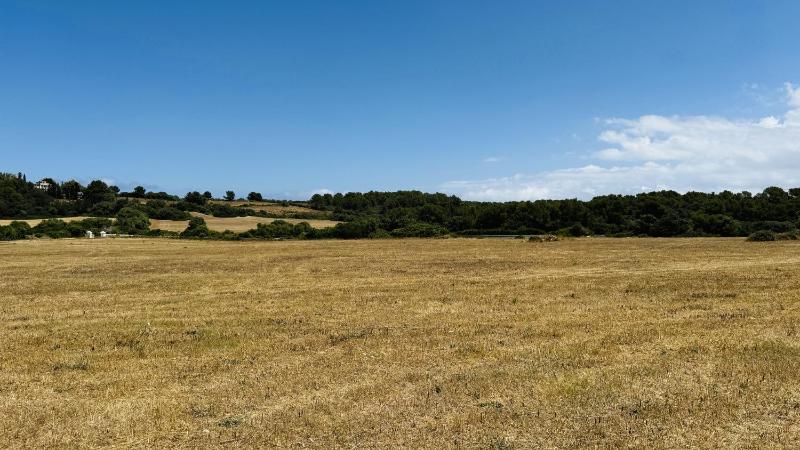 Four-Bedroom Holiday Home image 3
