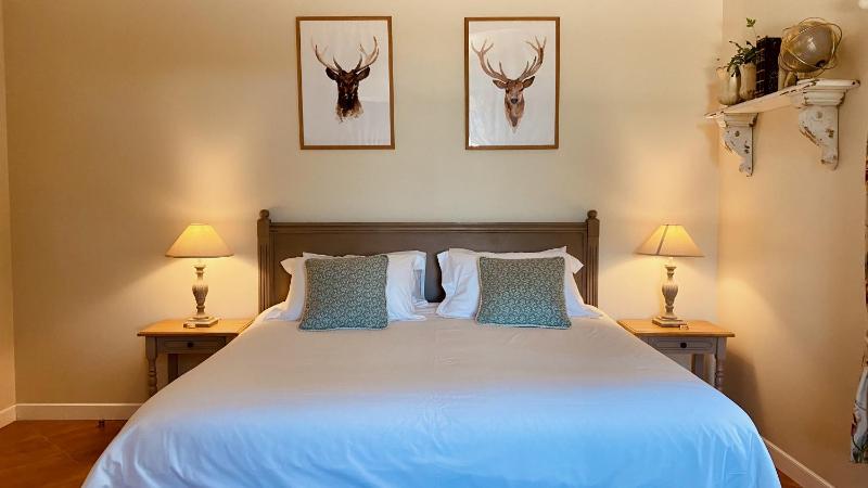 Deluxe Double or Twin Room with Garden View image 3