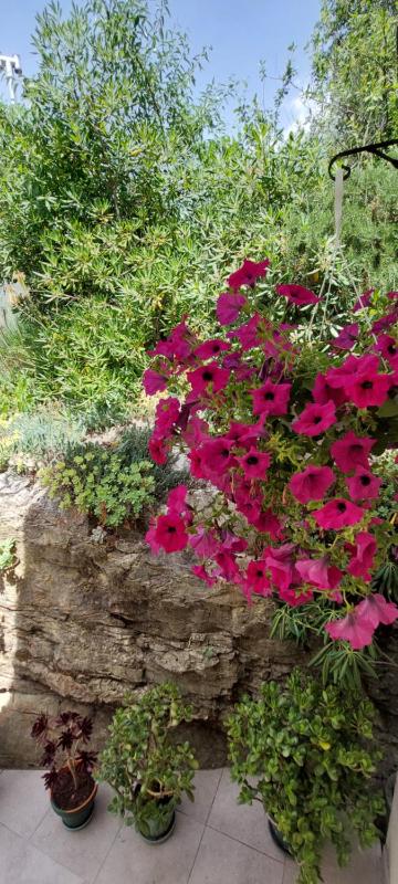 Studio apartments Roza - A charming oasis in the centre of Makarska - image 15