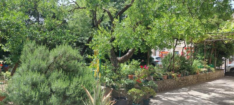 Studio apartments Roza - A charming oasis in the centre of Makarska - image 7