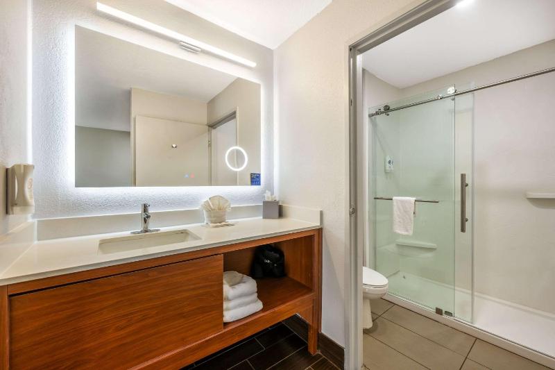King Suite - Non-Smoking image 4