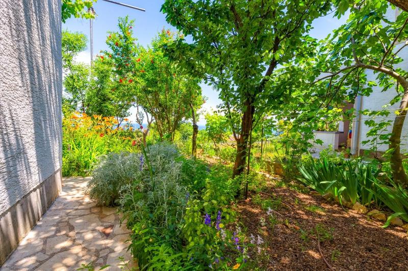 Apartments Matea Mali Lošinj - image 5