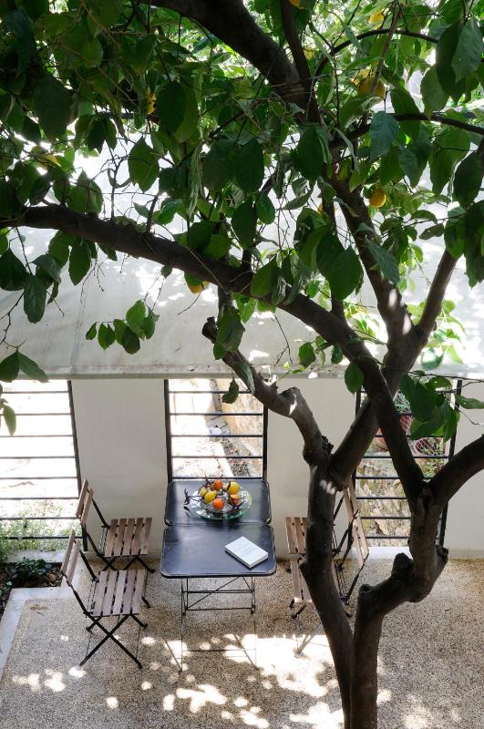 Apartment - Ground Floor image 3