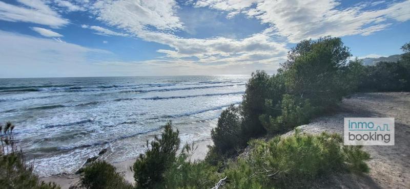 Sun Beach Cala Dorada - image 17