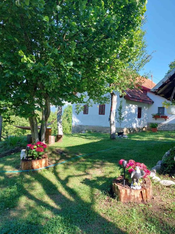 Two-Bedroom Apartment image 4