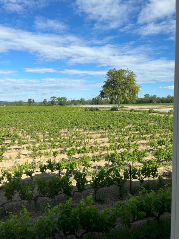 Gîte le Pressoir - image 22