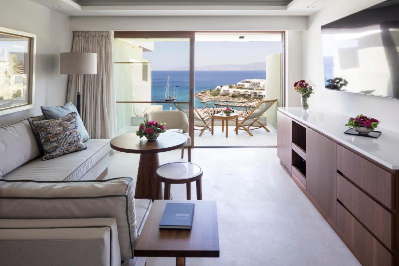 Premium One-Bedroom Suite image 1
