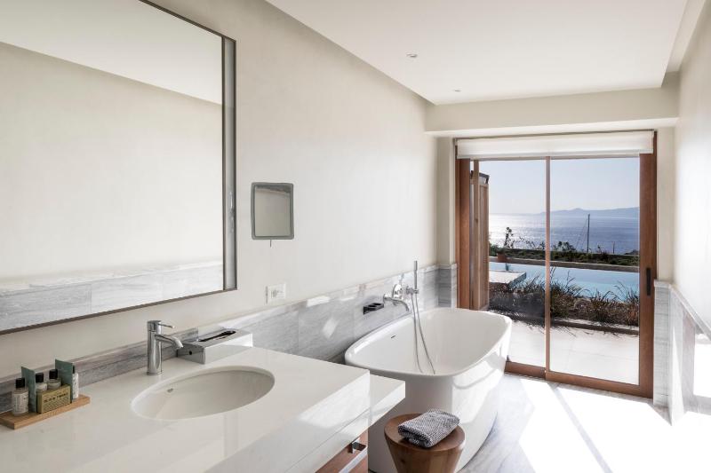 Premium Junior Suite Shared Pool image 3