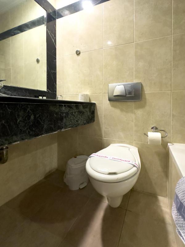 Superior Double or Twin Room image 3