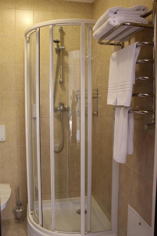 Single Room image 4