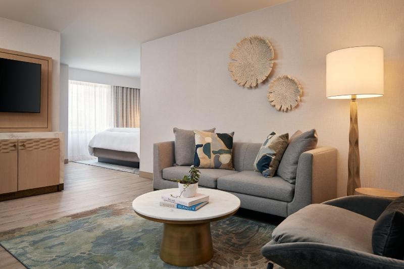 King Studio Suite  image 3