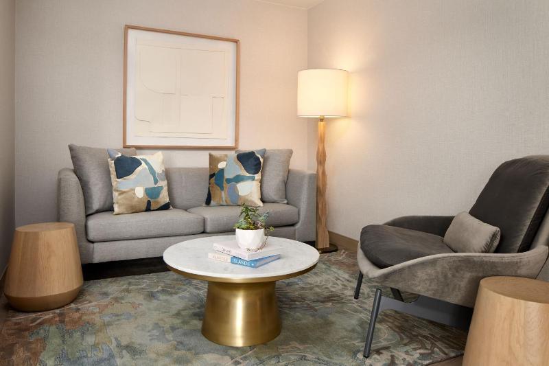 King Studio Suite  image 4