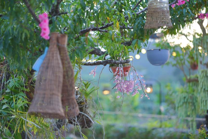 Chiềng Đi Dreamy - image 4