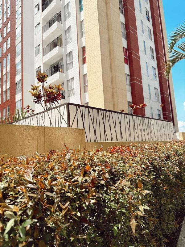 Apartamento Amoblado Cibeles - image 27
