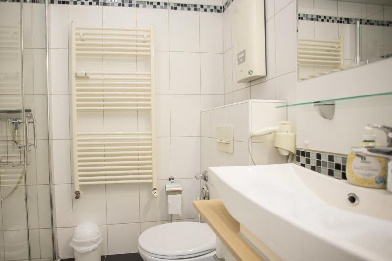 One-Bedroom Apartment image 4