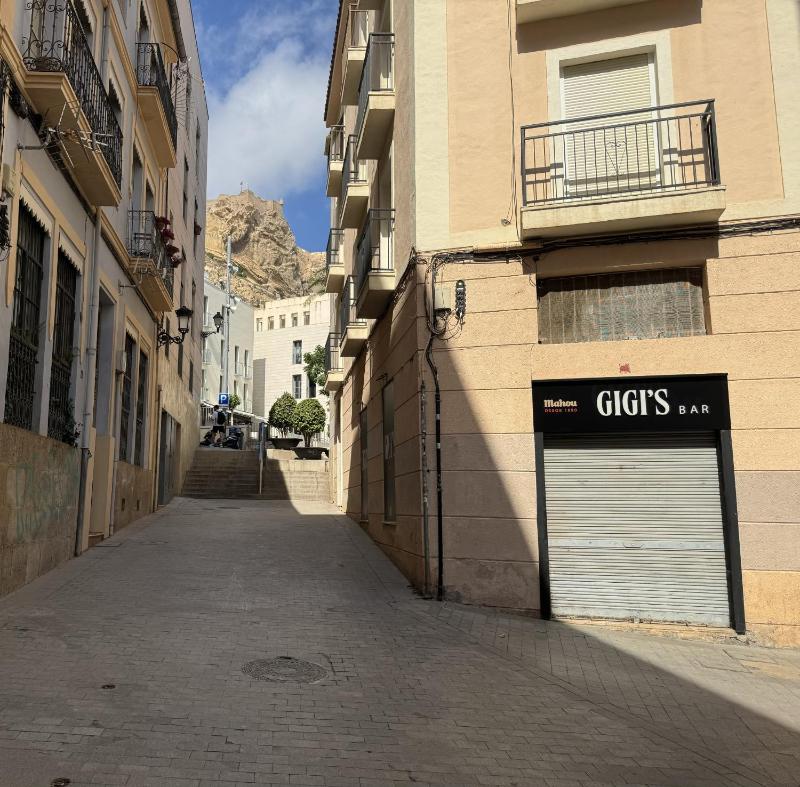 Modern Charm in Barrio Alicante - image 19