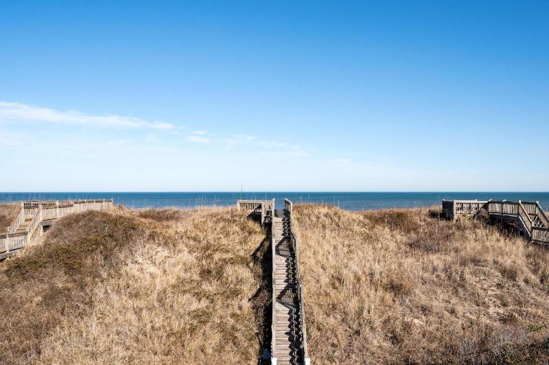 NH205 Celestial Shore - image 2