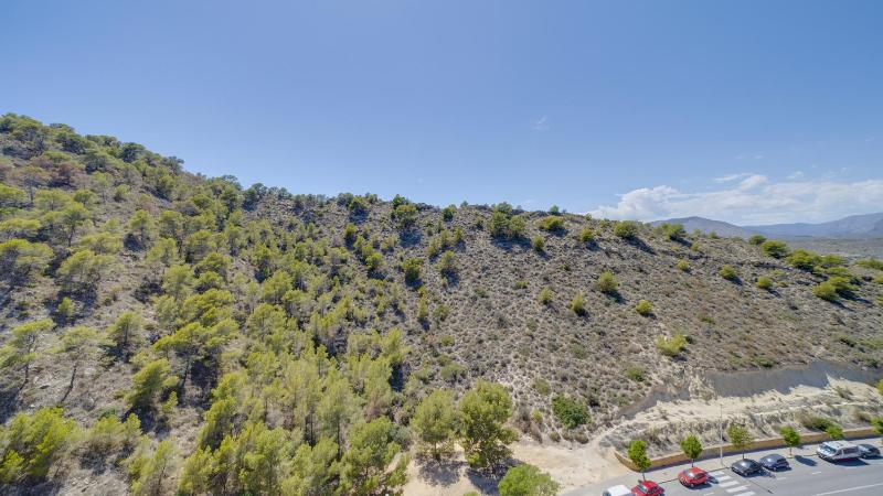 Torre Maestral Atico La Cala - image 33