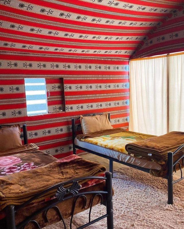 Bedouin guide camp - image 7