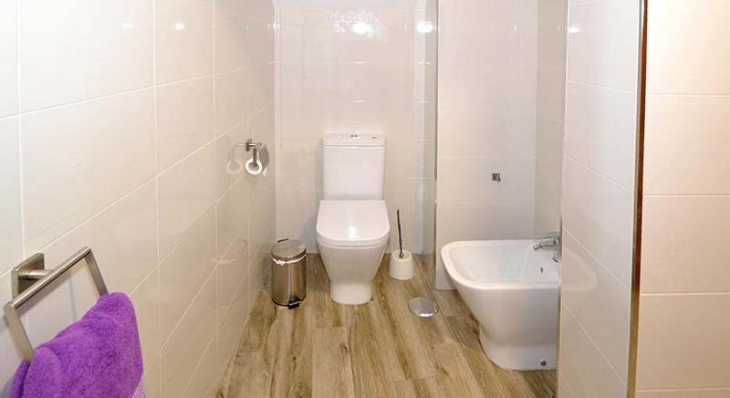 One Bedroom Apartment image 4