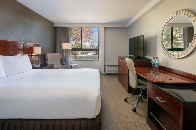 Deluxe King Room image 1