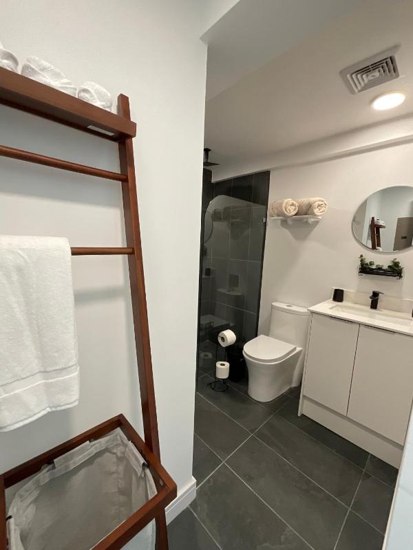 Okapi - Full Apartment in the Heart of San José - image 15