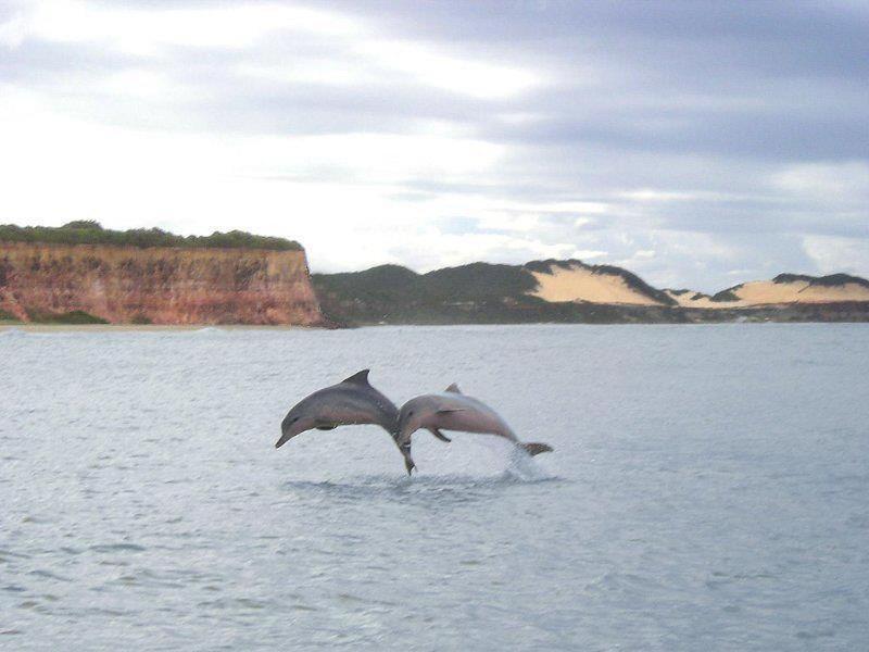 Pousada da Pipa - image 37