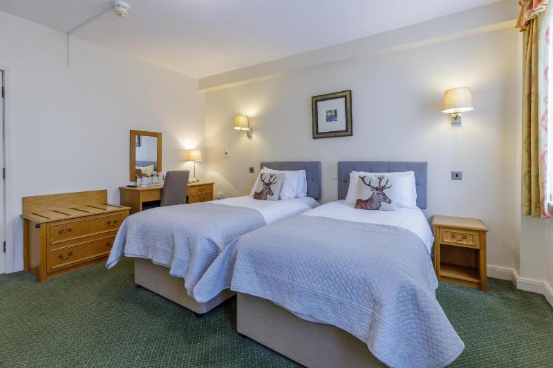 Standard Twin Room image 2