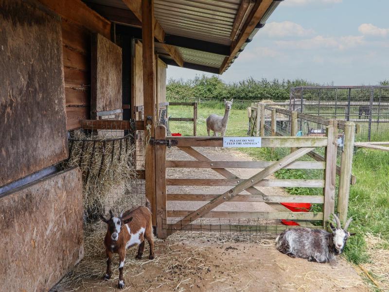 The Dairy - image 4