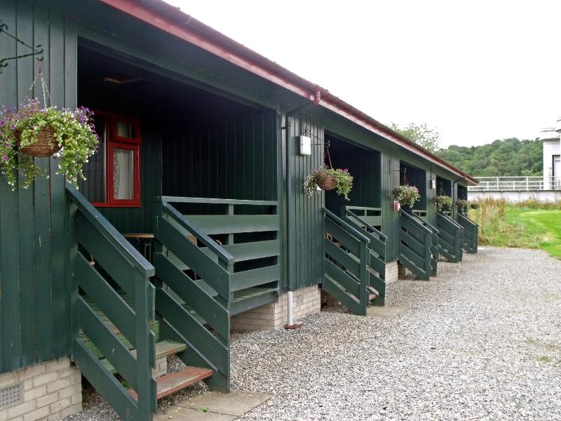 One-Bedroom Lodge image 1