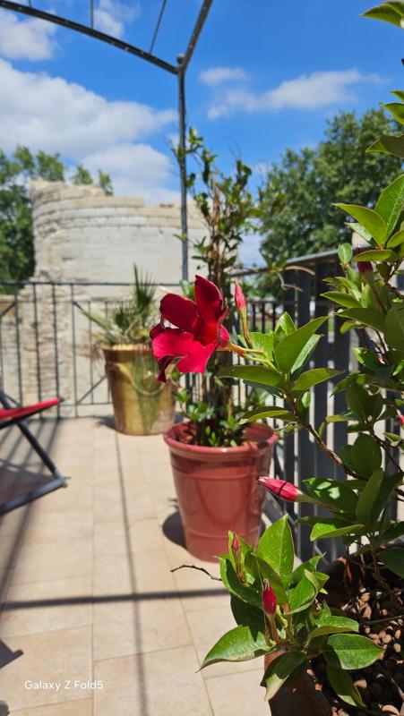 Club Double Room with Terrace (19 m2) image 4