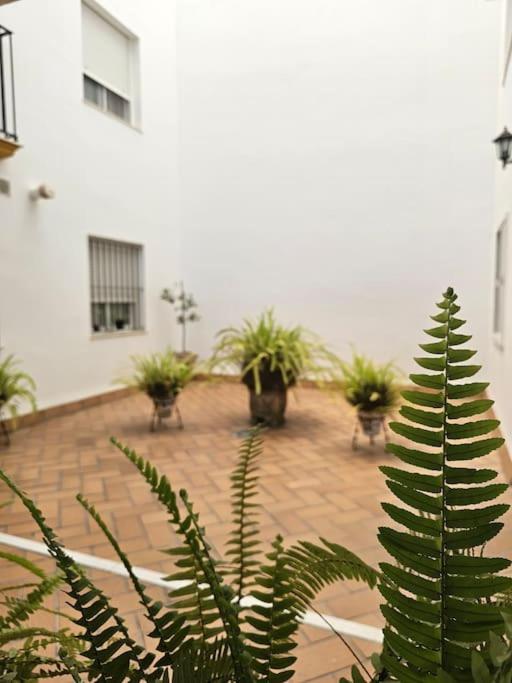 La Galería de Fariñas by Sanlúcar Housing - image 39