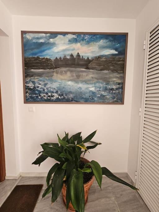 La Galería de Fariñas by Sanlúcar Housing - image 24